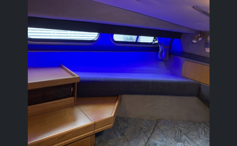 Sealine 310 Statesman-kuva-11